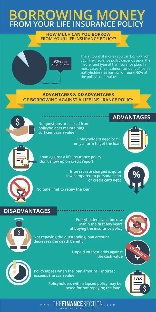 how-much-can-you-borrow-from-your-life-insurance-policy-the-finance