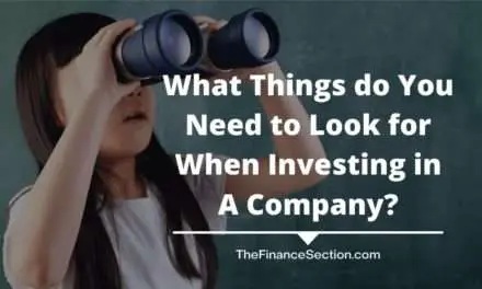 What Things do You Need to Look for When Investing in A Company?