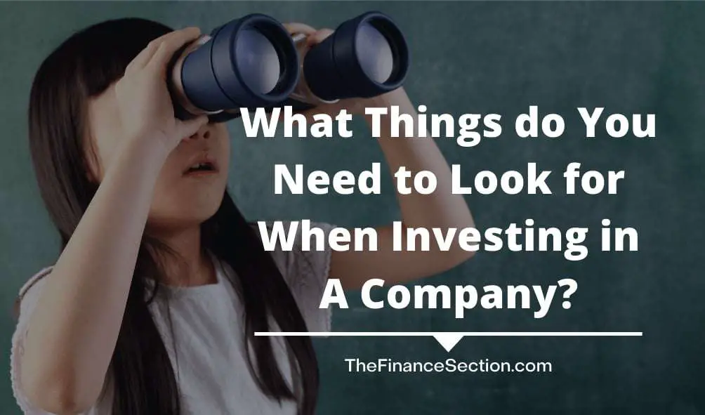 What Things do You Need to Look for When Investing in A Company?