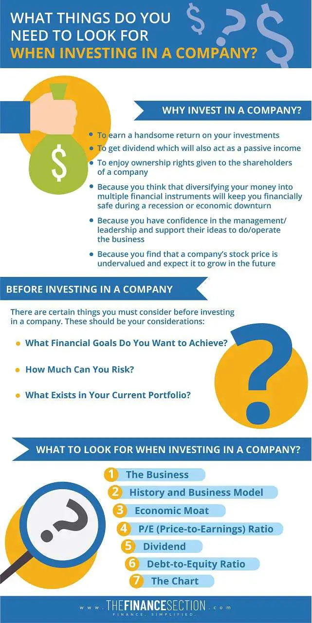 Things to consider while investing in a company