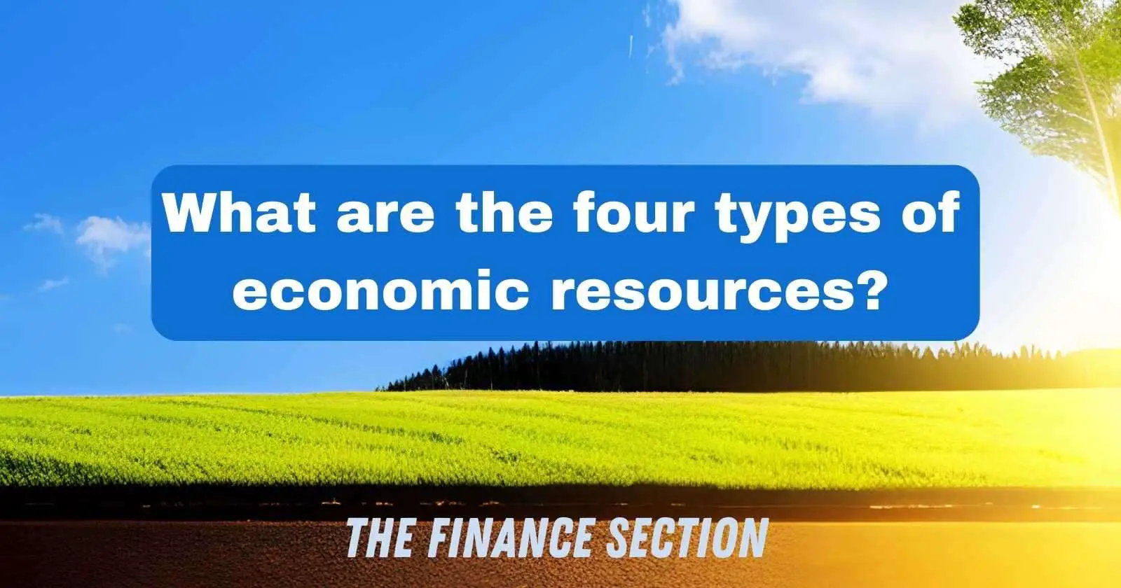 What are the four types of economic resources?